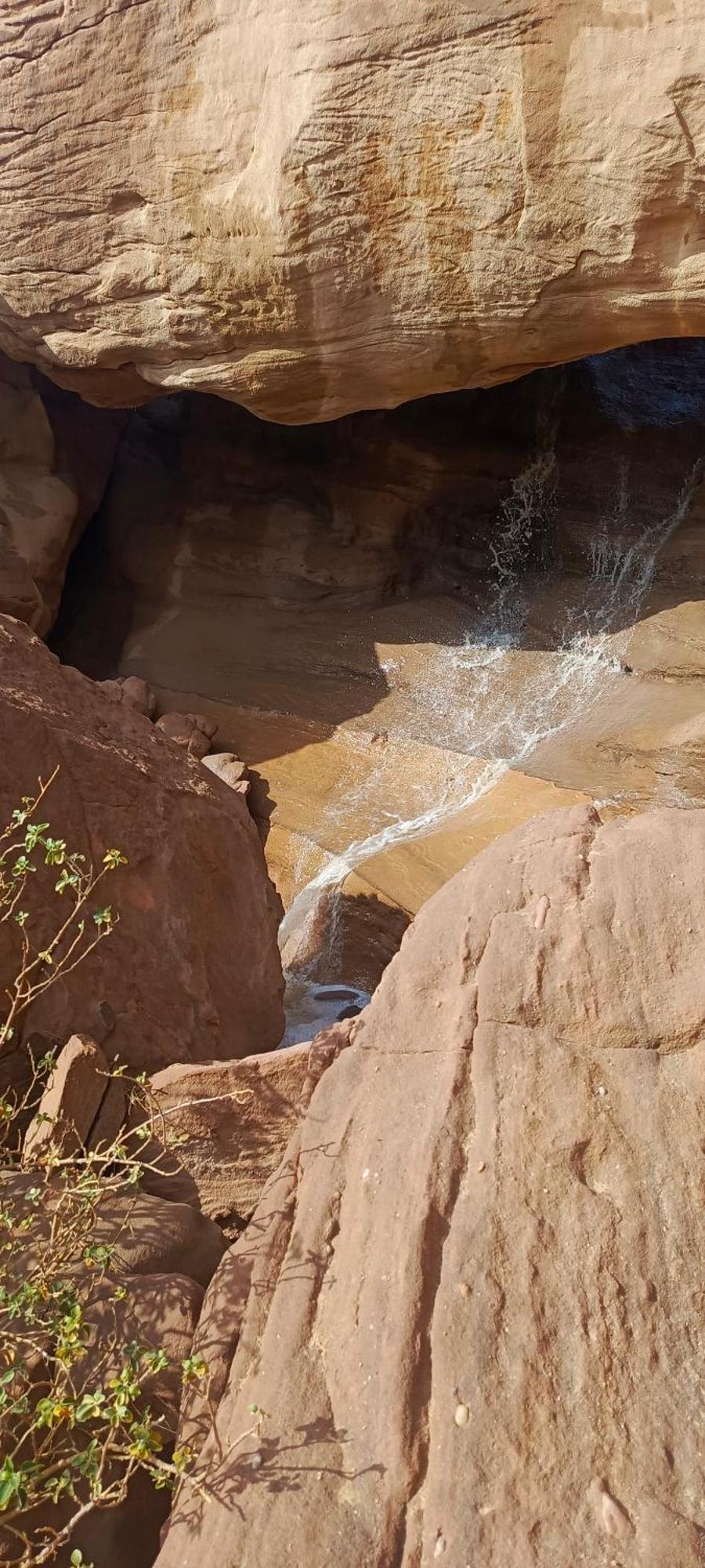 Wadi Rum Aviva Camp Exteriör bild