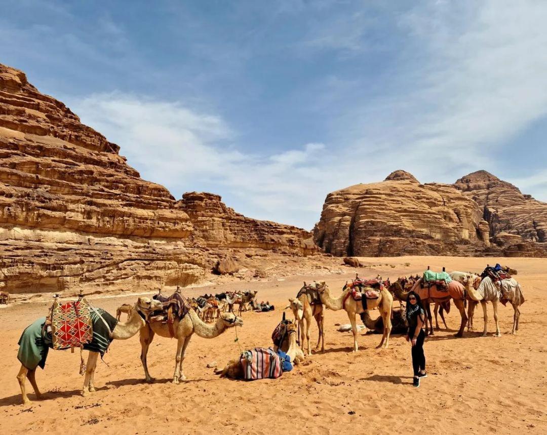 Wadi Rum Aviva Camp Exteriör bild